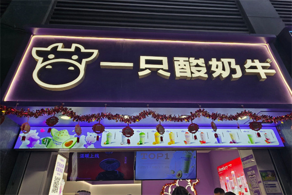 一只酸奶牛加盟总部地址在哪里？精准定位，开启创业之旅