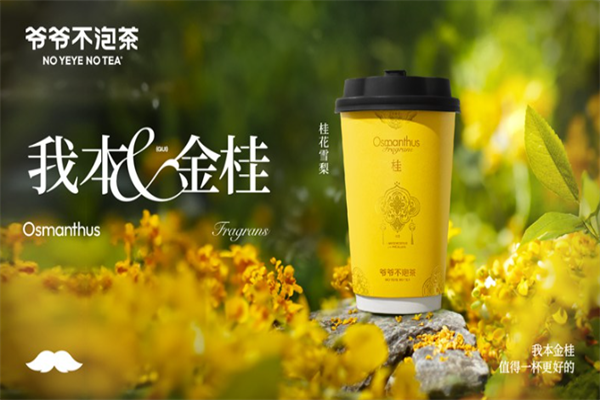 爷爷不泡茶加盟全流程保姆式扶持，小白也能轻松开好店