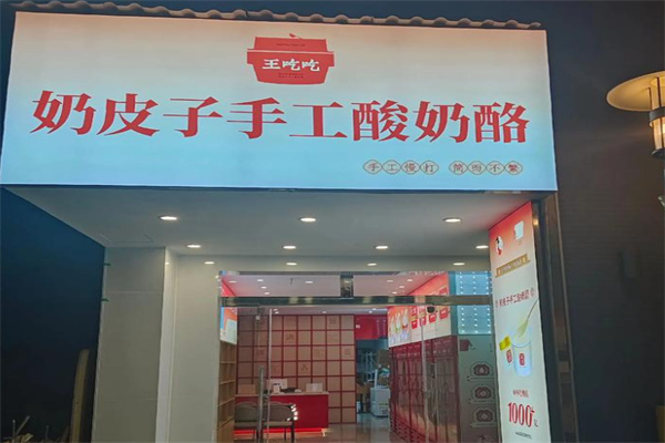 王吃吃奶皮子手工酸奶酪