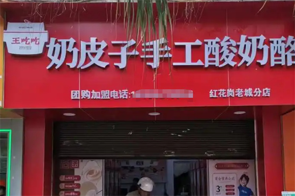 王吃吃奶皮子手工酸奶酪
