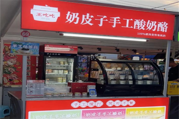 王吃吃奶皮子手工酸奶酪