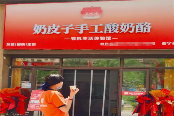 王吃吃奶皮子手工酸奶酪