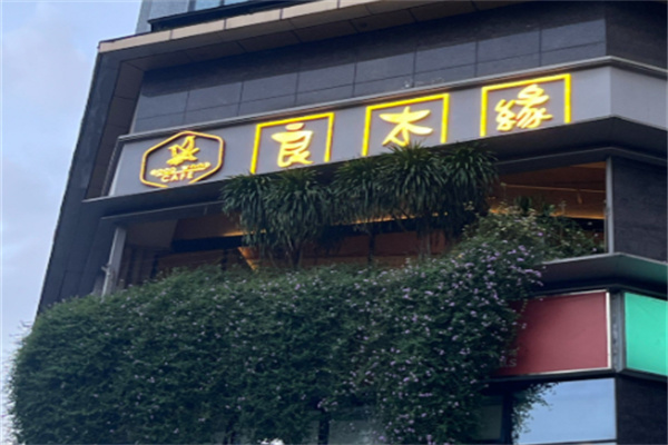 良木缘咖啡加盟投资门槛高吗？零基础入手，高势能盈利