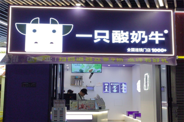 一只酸奶牛加盟后怎么赚钱？开启盈利之路的策略