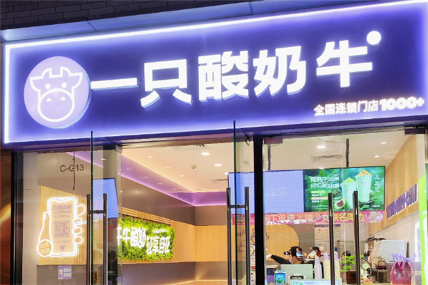 一只酸奶牛加盟总部在哪里？专业视角下的商业机遇