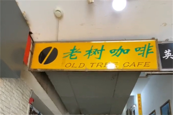 老树咖啡店