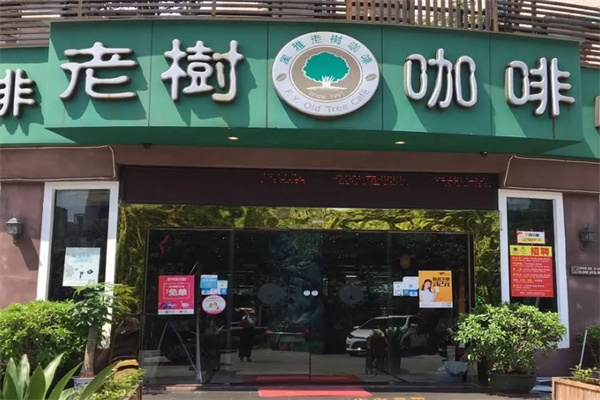 老树咖啡店