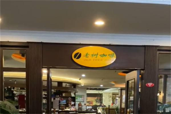 老树咖啡店